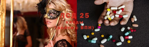 PSILOCYBIN Михайловск