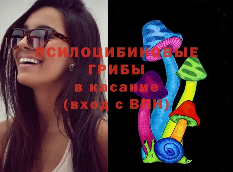 Галлюциногенные грибы MAGIC MUSHROOMS  Каспийск 