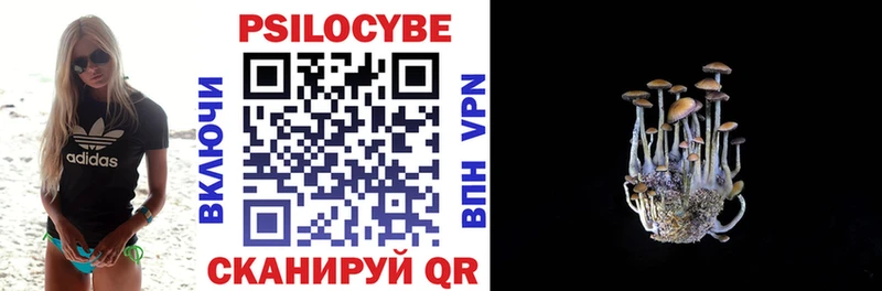 Галлюциногенные грибы Psilocybine cubensis  Каспийск 