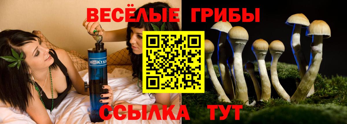 Каспийск  Галлюциногенные грибы Psilocybe  Вход с VPN  Галлюциногенные грибы Cubensis 